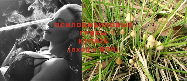 тгк Баксан