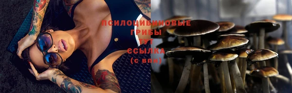 ешки Балахна