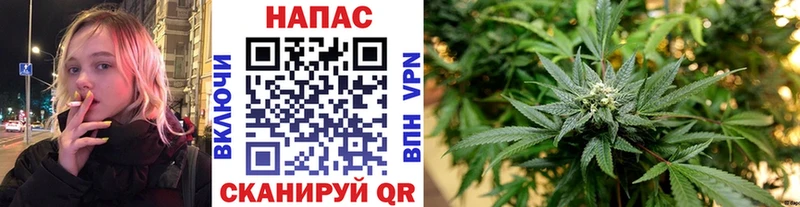 дарк нет наркотические препараты  ссылка на мегу зеркало  Ульяновск  Конопля гибрид 